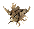 Log Basket