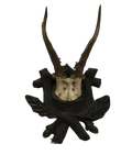 Hunting Trophy "Black Forest"