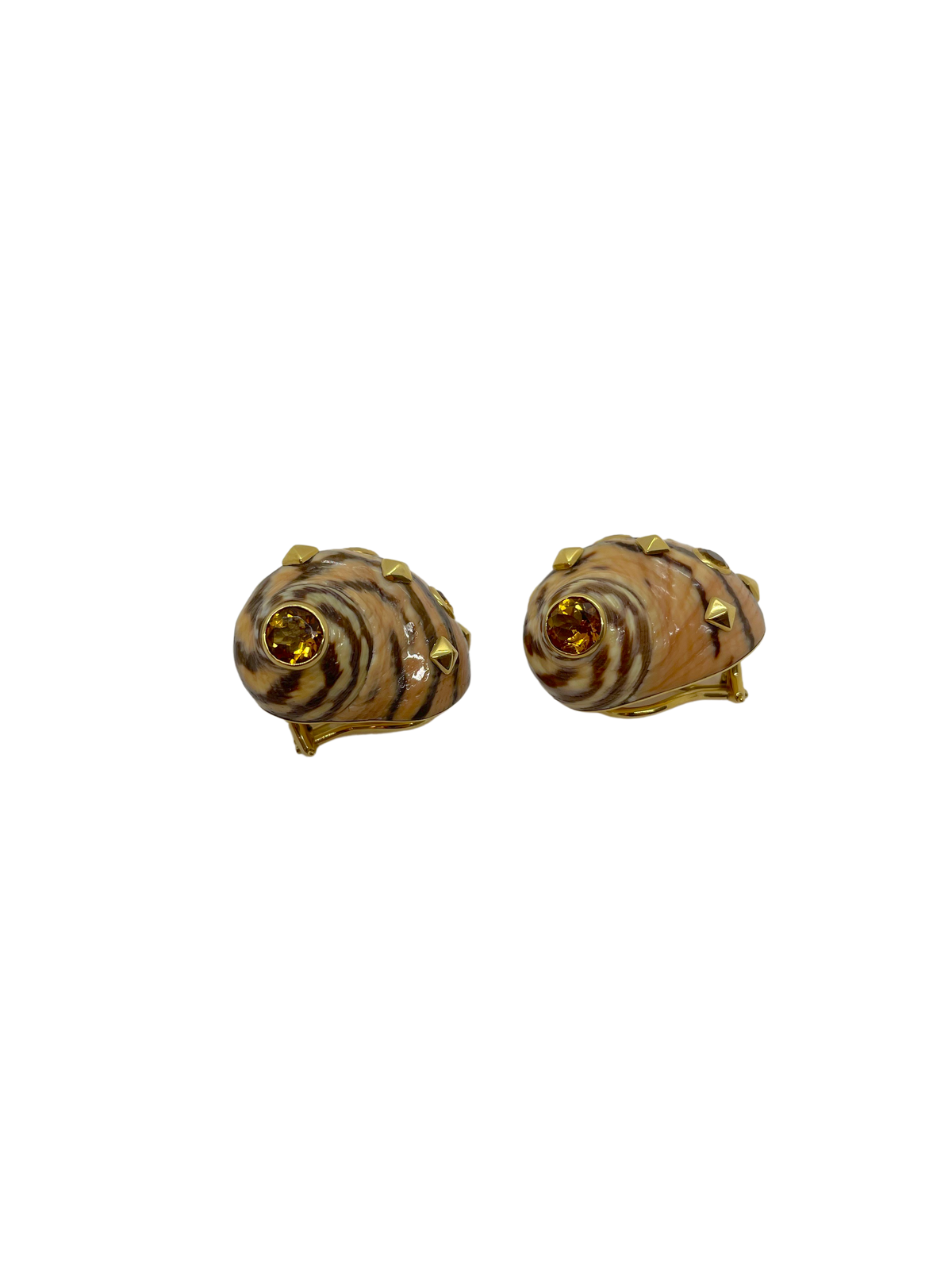 Littorina Zebra shell Earrings