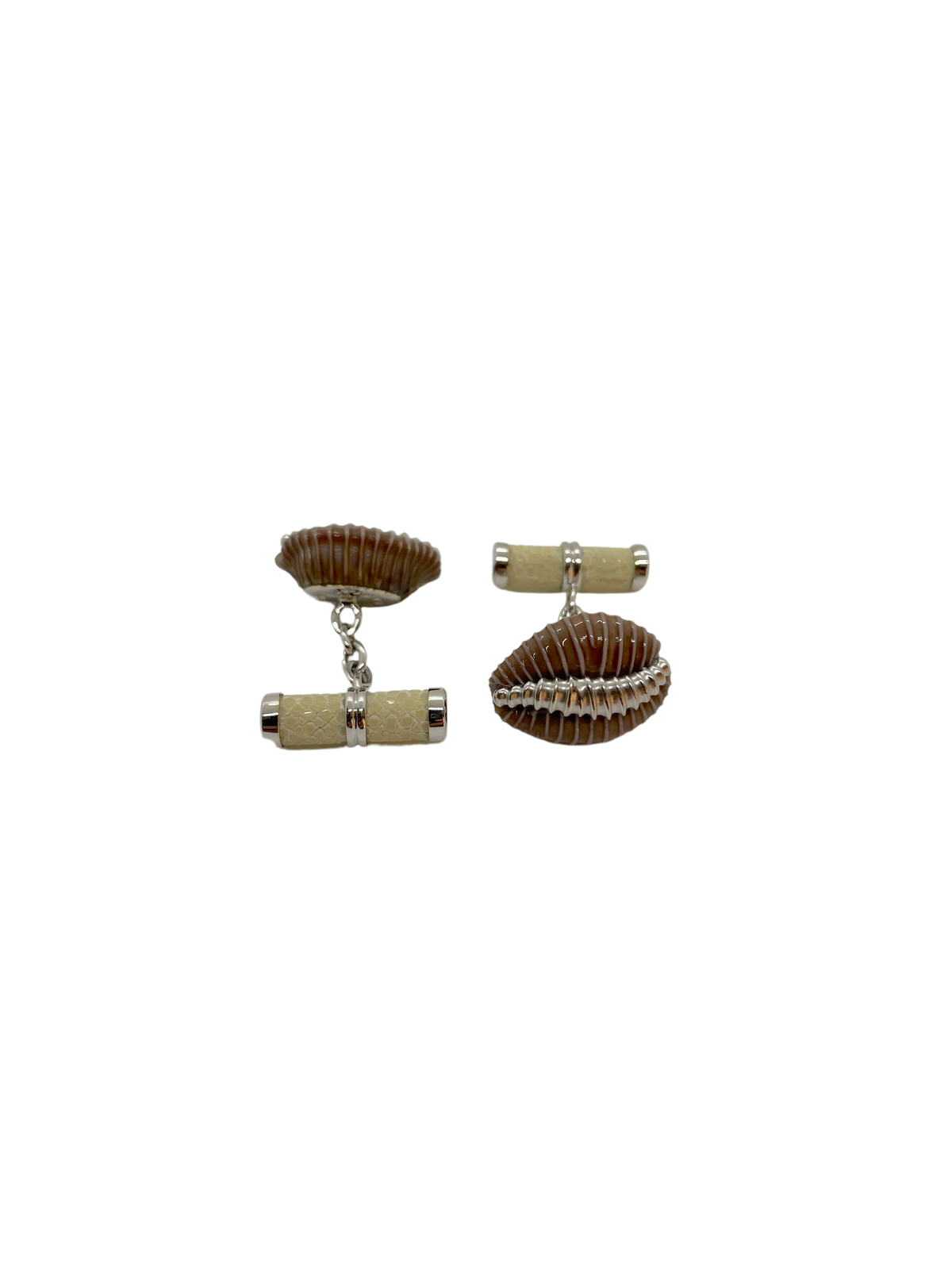 Trivia Solandris shell & Shagreen cufflinks