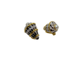 Conus Ebraeus  shell Earrings