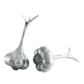 Salt & Pepper